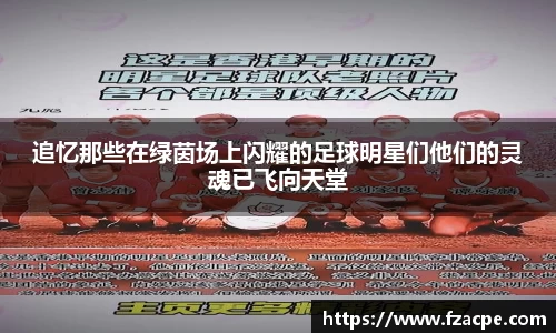伟德bv国际
