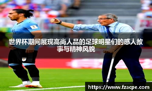 伟德bv国际