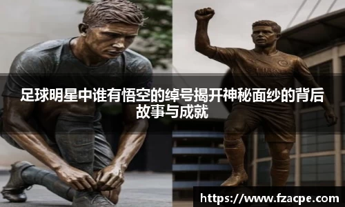 伟德bv国际