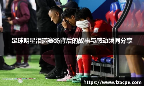伟德bv国际
